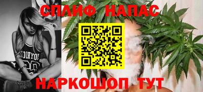 spice Гагарин